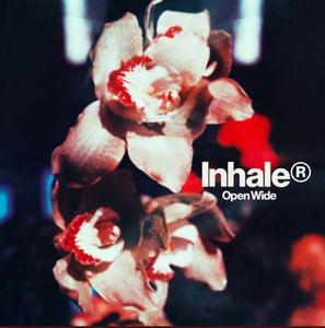 Inhaler - Open Wide - New LP Record 2025 Polydor Vinyl - Indie