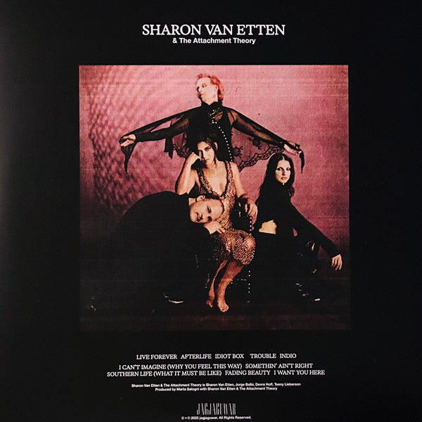 Sharon Van Etten & The Attachment Theory - New LP Record 2025 Jagjaguwar Secretly Society Club Purity Edition Silver Vinyl - Indie Rock - Shuga Records