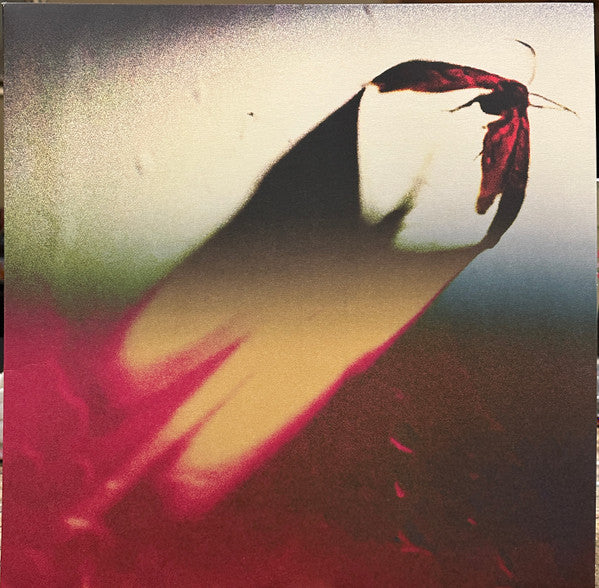 Scowl - Are We All Angels - New LP Record 2025 Dead Oceans Secretly Society Club Edition Clear Pink Vinyl - Punk / Hardcore - Shuga Records