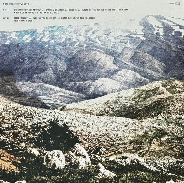 Deerhoof - Noble and Godlike in Ruin - New LP Record 2025 Joyful Noise Test Tube Green Vinyl - Indie Pop / Noise Rock - Shuga Records