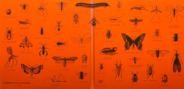 SZA - SOS Deluxe: Lana - New 4 LP Record 2025 Top Dawg RCA Green Translucent Vinyl - Contemporary R&B - Shuga Records