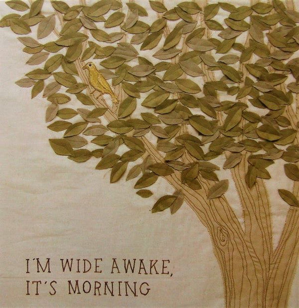 Bright Eyes - I'm Wide Awake, It's Morning - VG+ LP Record 2005 Saddle Creek USA Original Press Vinyl & Insert - Indie Rock / Soft Rock / Folk Rock - Shuga Records