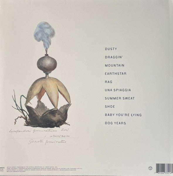 Hannah Cohen - Earthstar Mountain - New LP Record 2025 Congrats USA Sea Glass Vinyl - Alternative Rock / Indie Pop - Shuga Records