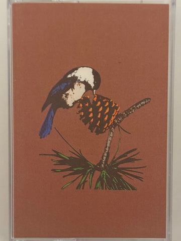 Peel Dream Magazine - Taurus - New Cassette 2025 Topshelf Yellow Tape - Indie Pop / Psychedelic Rock / Art Rock - Shuga Records