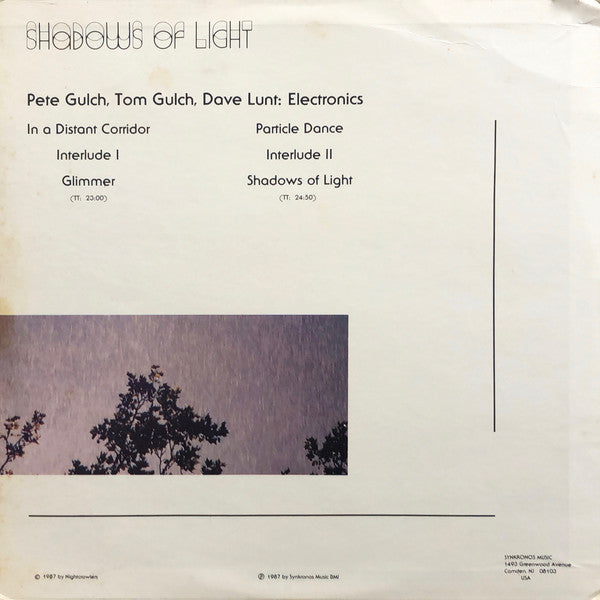 The Nightcrawlers – Shadows Of Light - Mint- LP Record 1987 Synkronos Music USA Vinyl & Insert - Electronic / Berlin-School / Ambient