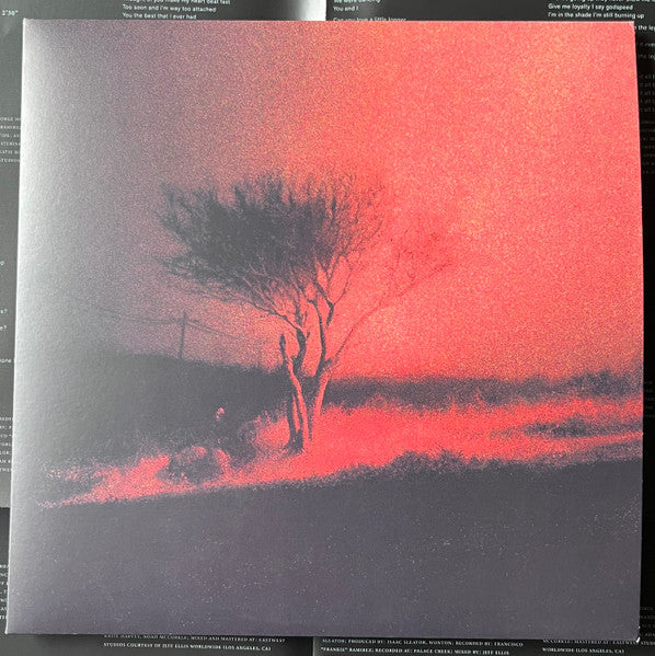 Joji - Piss In The Wind - New LP Record 2026 Palace Creek Virgin Black Vinyl & Poster - Indie Pop - Shuga Records