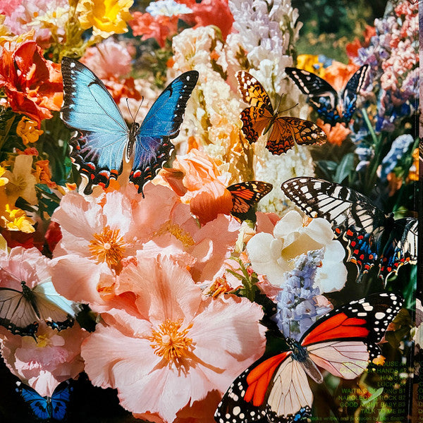 Daphni - Butterfly - New 2 LP Record 2026 Jiaolong Black Vinyl - House / Nu Disco