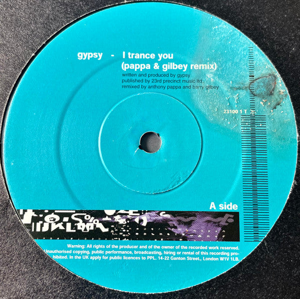 Gypsy / Sublime - I Trance You (Pappa & Gilbey Remix) / The Theme (Fade Remix) Series 100 (Disc One) - VG+ 12" Single Record 1999 23rd Precinct UK Vinyl - Trance / Progressive Trance - Shuga Records
