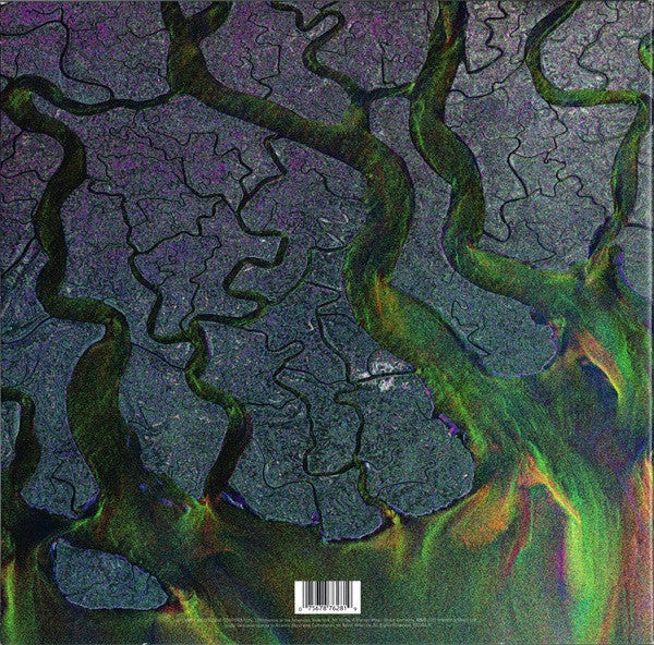 Alt-J - An Awesome Wave - VG+ LP Record 2012 Atlantic USA Original Vinyl - Indie Rock / Experimental - Shuga Records