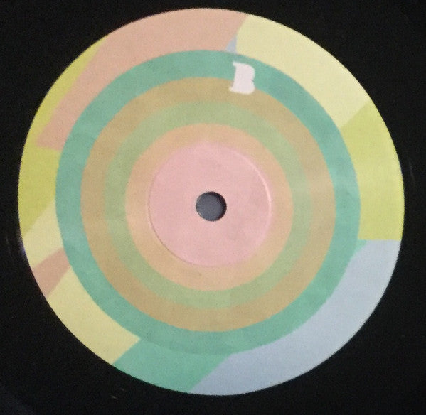 Ty Segall - Melted - VG+ LP Record 2010 Goner USA Vinyl & Insert - Garage Rock / Psychedelic Rock - Shuga Records