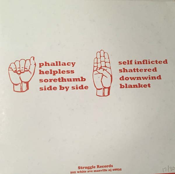 Phallacy - We Stand Inseparable - VG+ LP Record 2011 Struggle USA Purple Marble Vinyl & Numbered 300/300 - Punk / Hardcore - Shuga Records