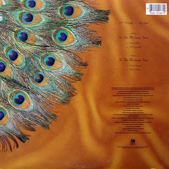 Tramaine - In The Morning Time - New 12" Single Record 1985 A&M USA Original Vinyl - Soul / R&B / Swingbeat - Shuga Records