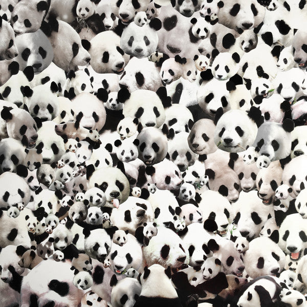 Death Sentence: Panda! (2004) - Puppy, Kitty, Or Both - Mint- 10" LP Record 2006 Upset! The Rhythm USA Dark Pink Vinyl - Art Rock / No Wave / Punk / Experimental - Shuga Records