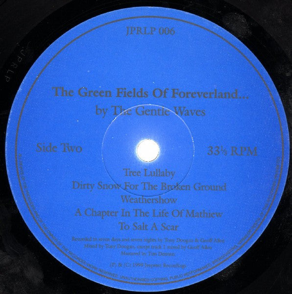 The Gentle Waves - The Green Fields Of Foreverland... - VG+ LP Record 1999 Jeepster Recordings UK Vinyl - Indie Rock - Shuga Records