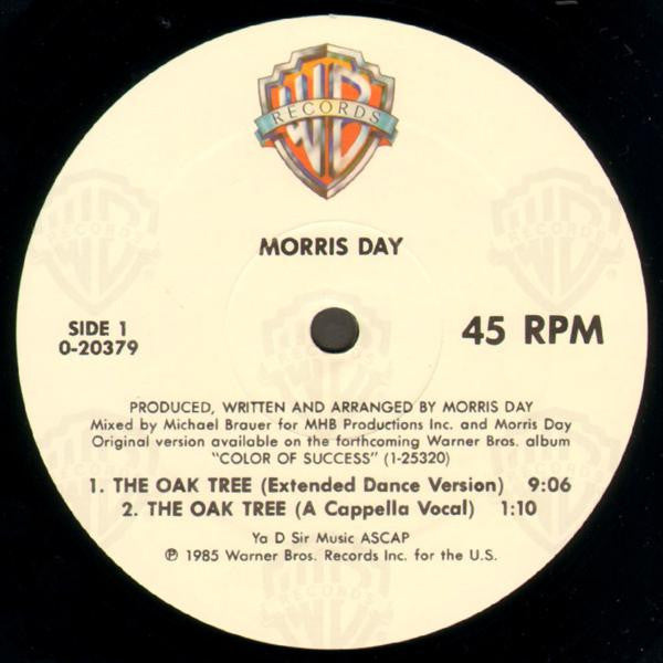 Morris Day - The Oak Tree - VG+ 12" Single 1985 Warner USA Vinyl - Minneapolis Sound / Funk / Synth-Pop - Shuga Records