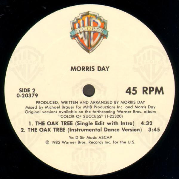 Morris Day - The Oak Tree - VG+ 12" Single 1985 Warner USA Vinyl - Minneapolis Sound / Funk / Synth-Pop - Shuga Records