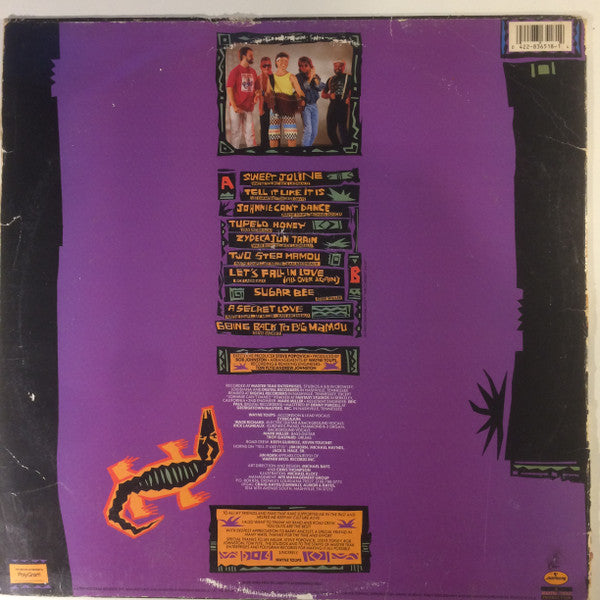 Wayne Toups & Zydecajun – Blast From The Bayou - Mint- LP Record 1989 Mercury Smash USA Vinyl - Folk / Cajun / Zydeco