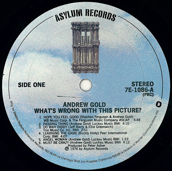 Andrew Gold ‎- What's Wrong With This Picture? - VG+ LP Record 1976 Asylum USA Vinyl - Rock / Soft Rock - Shuga Records