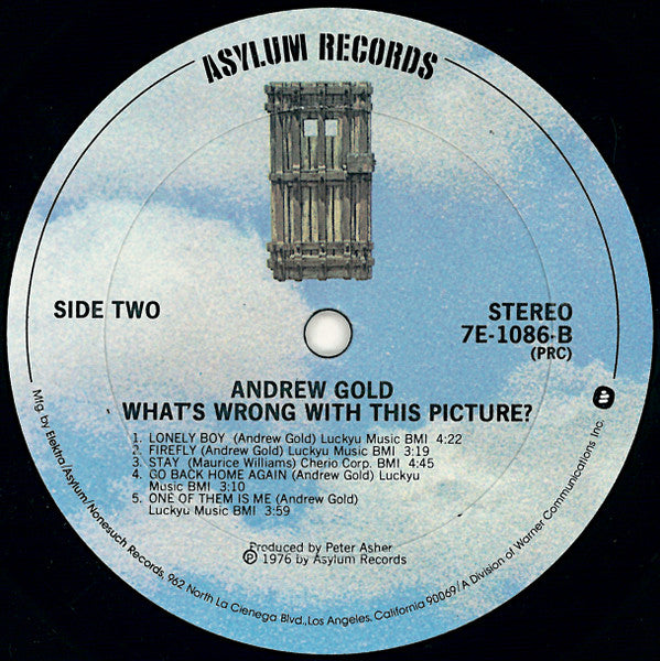 Andrew Gold ‎- What's Wrong With This Picture? - VG+ LP Record 1976 Asylum USA Vinyl - Rock / Soft Rock - Shuga Records