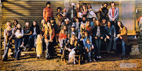 The Allman Brothers Band - Brothers And Sisters (1973) - Mint- LP Record 2014 Mobile Fidelity Sound Lab MFSL 180 gram Original Master Recording Analog 180 gram Vinyl, Numbered & Insert - Rock & Roll / Blues Rock / Folk Rock - Shuga Records