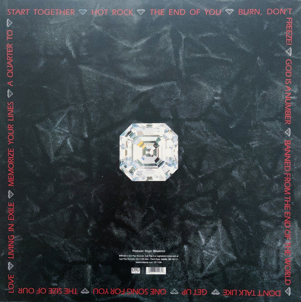 Sleater-Kinney - The Hot Rock (1999) - New LP Record 2014 USA Sub Pop USA Vinyl & Download - Indie Rock - Shuga Records