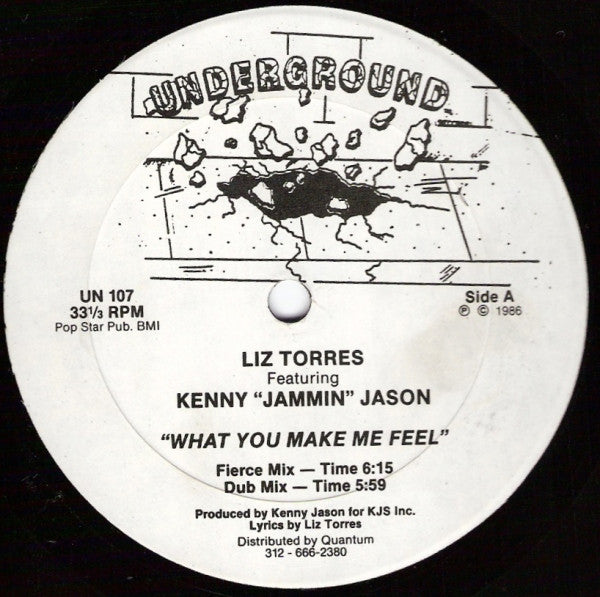 Liz Torres Featuring Kenny "Jammin" Jason - What You Make Me Feel - VG+ 12" Single Record Underground Vinyl - Chicago House - Shuga Records