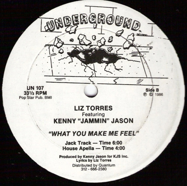 Liz Torres Featuring Kenny "Jammin" Jason - What You Make Me Feel - VG+ 12" Single Record Underground Vinyl - Chicago House - Shuga Records