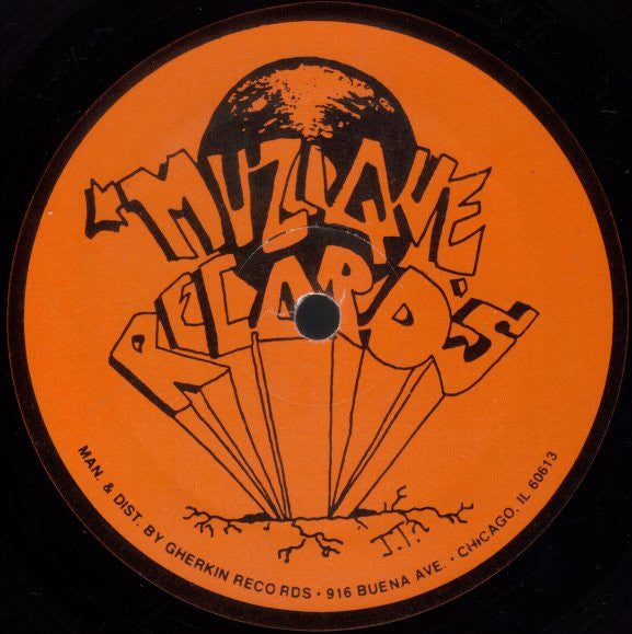 Terry Hunter - Madness - VG- 12" Single Record 1990 Muzique USA Vinyl - Chicago House / Techno / Bleep