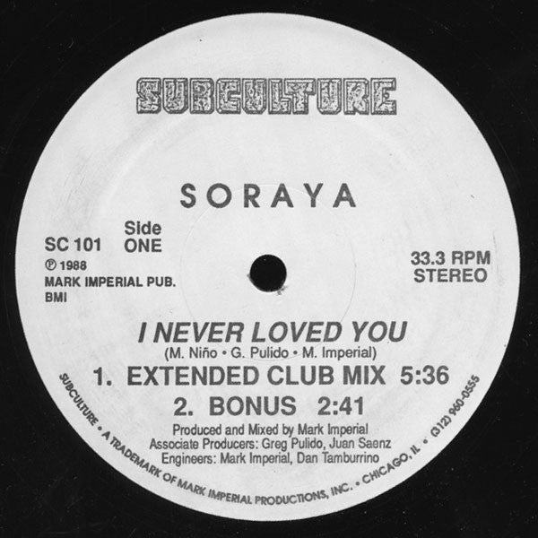 Soraya - I Never Loved You - VG 12" Single Record 1988 Subculture USA Vinyl - Chicago House / Freestyle