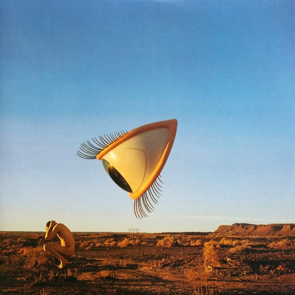 The Cranberries - Bury The Hatchet (1999) - Mint 2 LP Record 2024 Plain Recordings USA 180 gram Vinyl - Alternative Rock / Pop Rock - Shuga Records