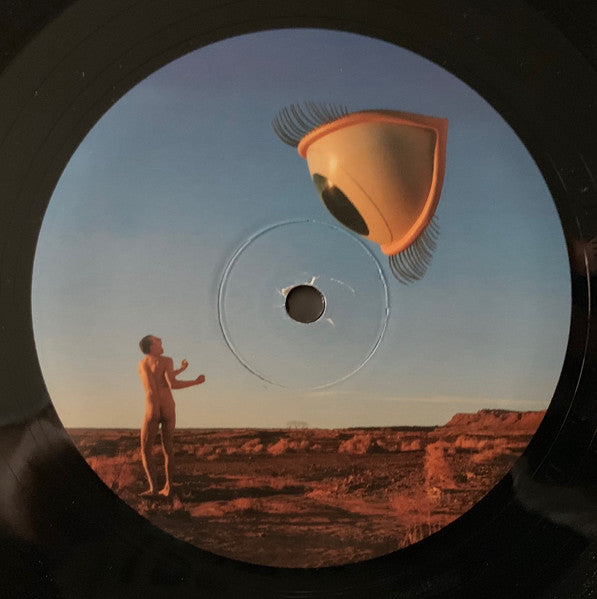 The Cranberries - Bury The Hatchet (1999) - Mint 2 LP Record 2024 Plain Recordings USA 180 gram Vinyl - Alternative Rock / Pop Rock - Shuga Records