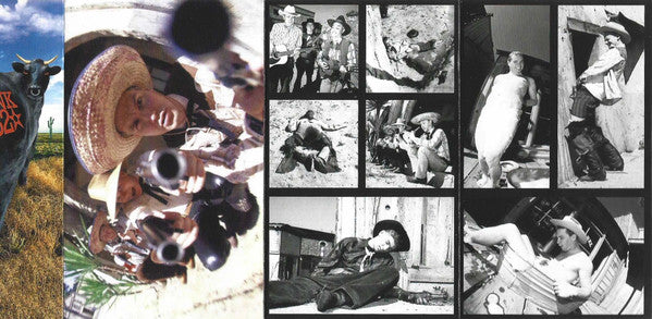 Blink-182 - Dude Ranch (1997) - New Cassette 2015 Geffen SRC Green Tape with White Ink - Pop Rock / Pop Punk - Shuga Records