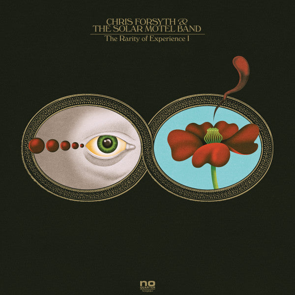 Chris Forsyth & The Solar Motel Band – The Rarity Of Experience - Mint- 2 LP Record 2016 No Quarter USA Vinyl & Download - Psychedelic Rock - Shuga Records