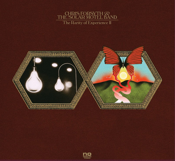 Chris Forsyth & The Solar Motel Band – The Rarity Of Experience - Mint- 2 LP Record 2016 No Quarter USA Vinyl & Download - Psychedelic Rock - Shuga Records