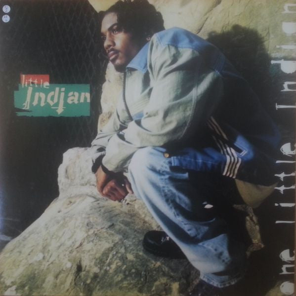 Little Indian - One Little Indian - Mint- 12" Single Record 1995 Premeditated USA Vinyl - Hip Hop - Shuga Records
