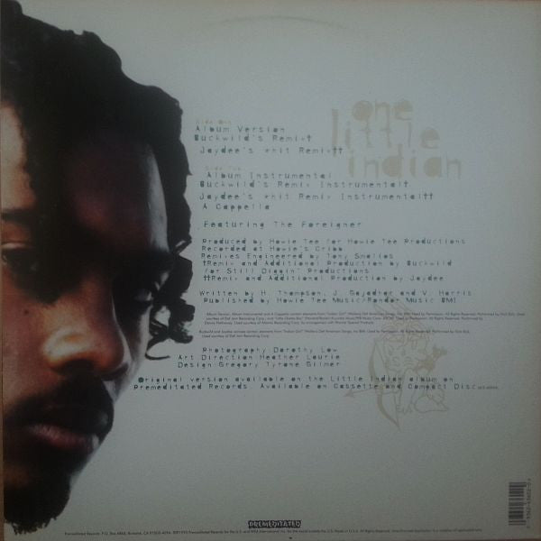 Little Indian - One Little Indian - Mint- 12" Single Record 1995 Premeditated USA Vinyl - Hip Hop - Shuga Records
