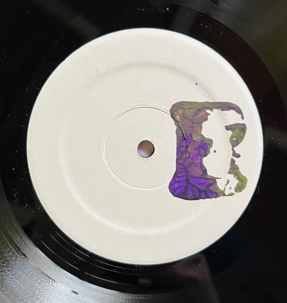 Feedbacula - Now - New LP Record 2014 Private Press USA Vinyl, Numbered, Hand Screened Cover & Sticker - Chicago Electronic / Noise / Rock - Shuga Records