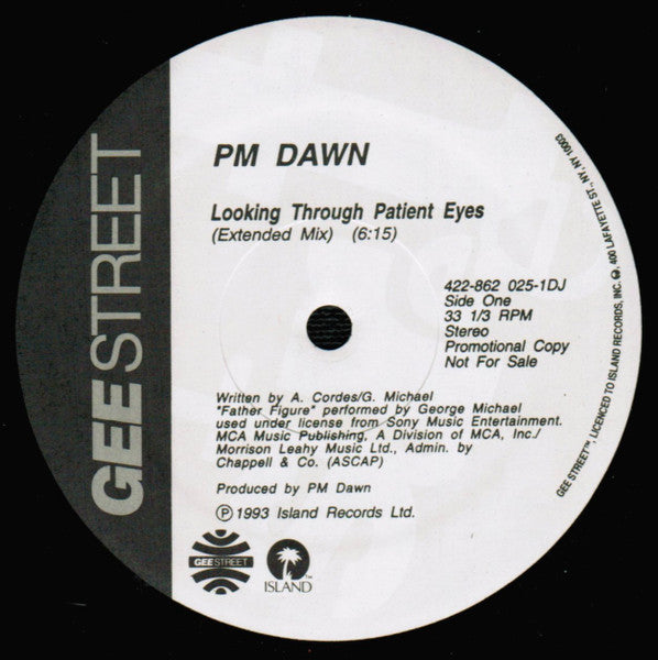P.M. Dawn – Looking Through Patient Eyes - Mint- 12" Single Record 1993 Gee Street USA Vinyl - Hip Hop / House - Shuga Records