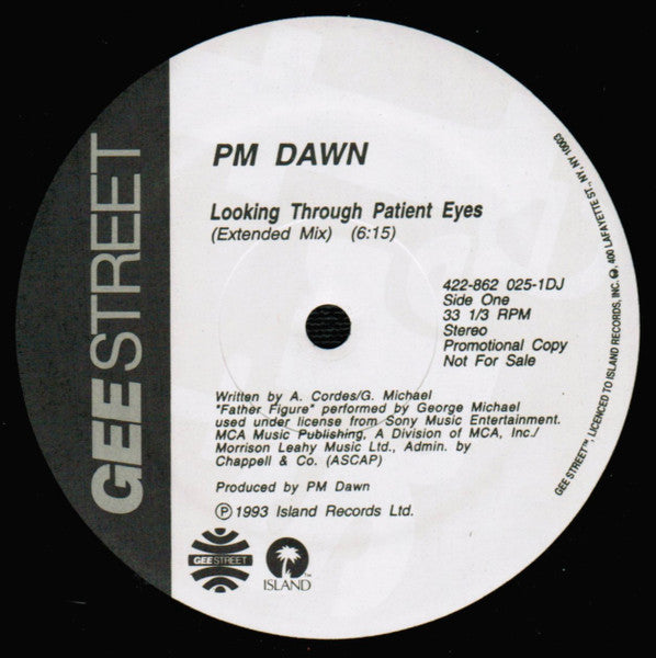 P.M. Dawn – Looking Through Patient Eyes - Mint- 12" Single Record 1993 Gee Street USA Vinyl - Hip Hop / House