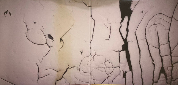 Death Grips - Bottomless Pit - Mint- LP Record 2016 Harvest Third Worlds USA Vinyl & Insert - Hip Hop / Hardcore Hip-Hop / Rhythmic Noise - Shuga Records