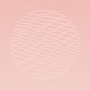 WHITE PINK BROWN - Lakes & Screens - New 2 LP Record 2021 Shameless Germany Vinyl & OBI - Electronic / Experimental / Techno - Shuga Records