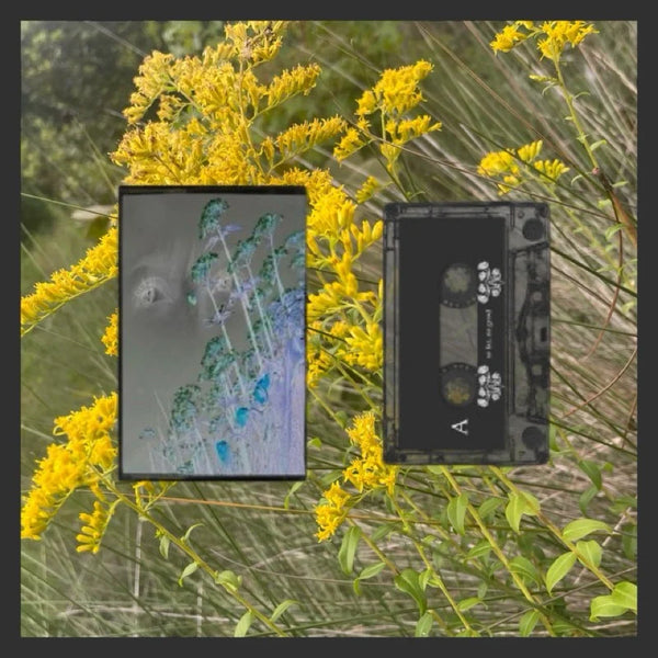 Drew The Architect - so far, no good - New Cassette 2024 Warm Walk USA Transparent Black Tape - Hip Hop / Cloud Rap / Ambient - Shuga Records