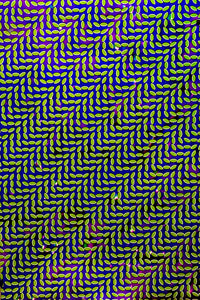 Animal Collective - Merriweather Post Pavillion - 24" x 36" Promo Poster (Double Sided)  p0270 - Shuga Records