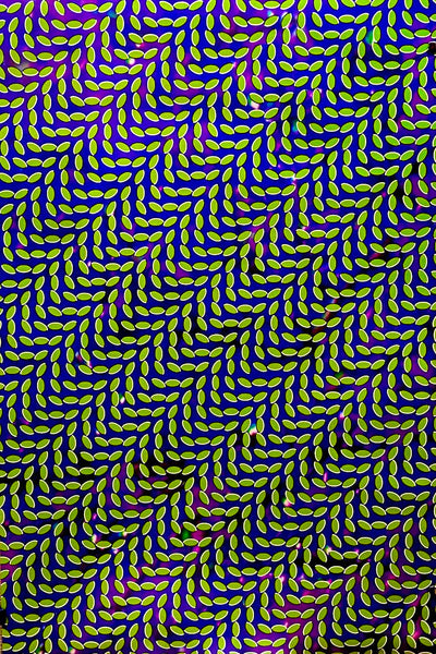 Animal Collective - Merriweather Post Pavillion - 24" x 36" Promo Poster (Double Sided)  p0270 - Shuga Records