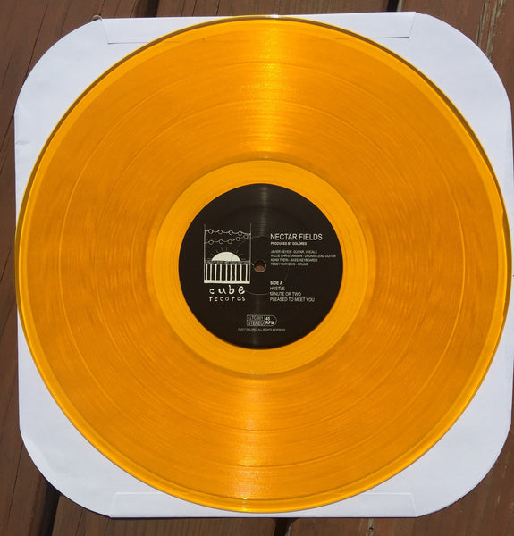 Dolores - Nectar Fields - New Vinyl 2014 with Download - Psych-Pop / Indie Rock (FU: Post Animal) - Shuga Records