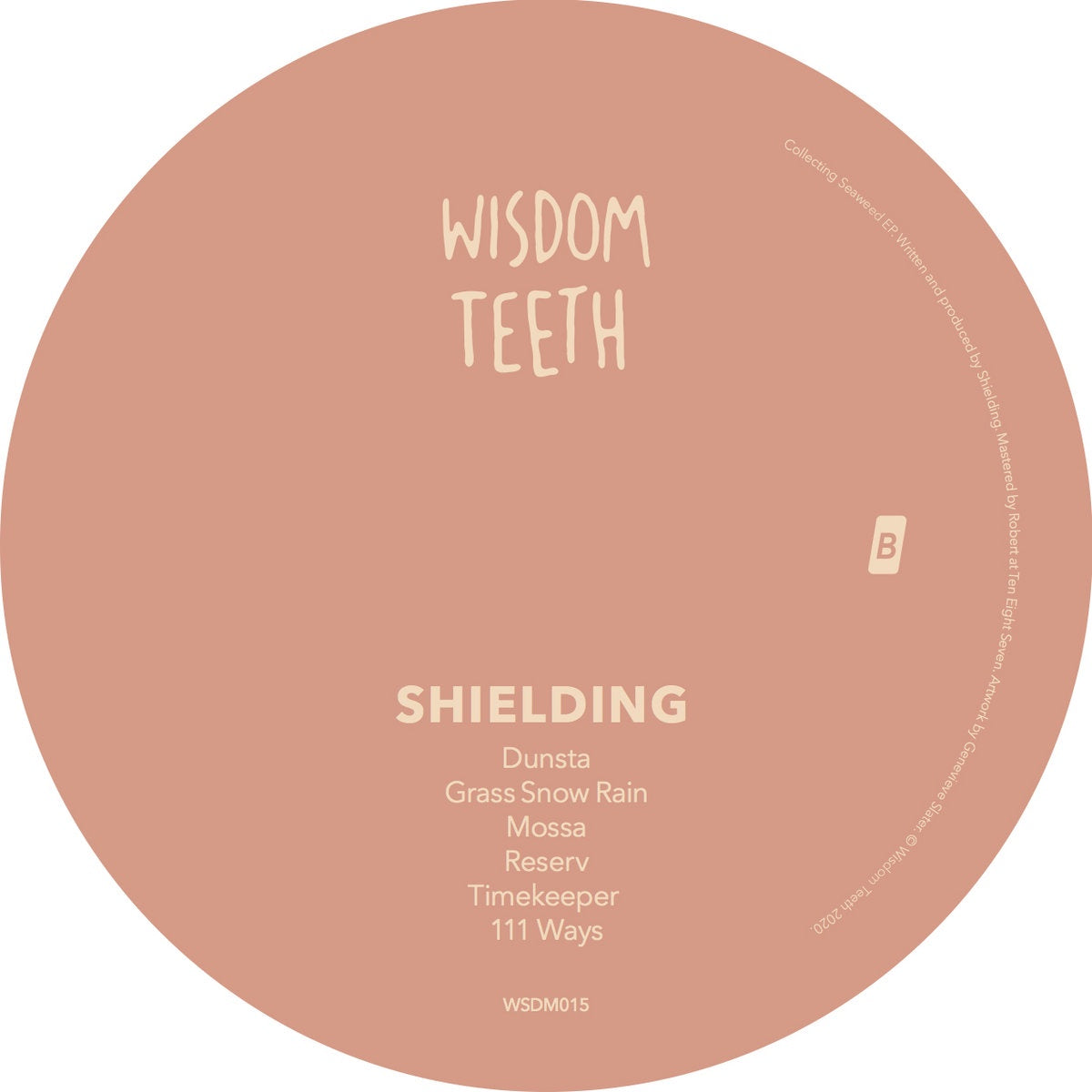 Shielding - Collecting Seaweed EP - New EP Record 2020 Wisdom Teeth UK Import Vinyl - Dub Techno / Downtempo