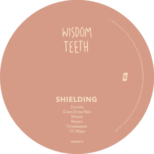Shielding - Collecting Seaweed EP - New EP Record 2020 Wisdom Teeth UK Import Vinyl - Dub Techno / Downtempo