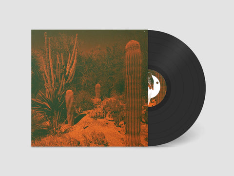 Cameron Knowler & Eli Winter - Anticipation - New LP Record 2021 American Dreams Chicago Black Vinyl - Folk /Experimental / Acoustic