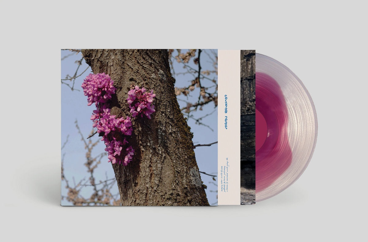 Duval Timothy – Meeting With A Judas Tree - New LP Record 2022 Carrying Colour Uk Purple Translucent Inside Clear Vinyl - Electronic / Ambient / Contemporary Jazz - Shuga Records