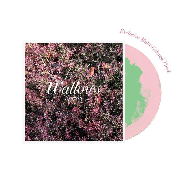 Wallows - Spring - New EP Record 2018 Atlantic USA Green & Pink Vinyl - Alternative Rock - Shuga Records